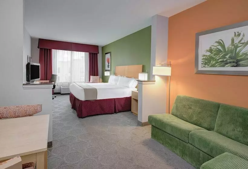 身障者適用スイートルーム, Holiday Inn Express Hotel & Suites Clute Lake Jackson, An Ihg