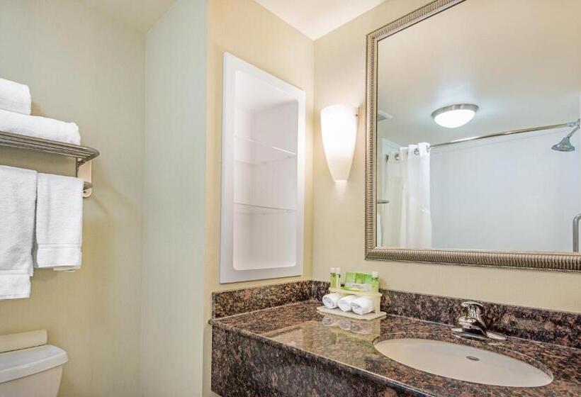 Стандартный Номер Кровать Кинг, Holiday Inn Express Hotel & Suites Clute Lake Jackson, An Ihg