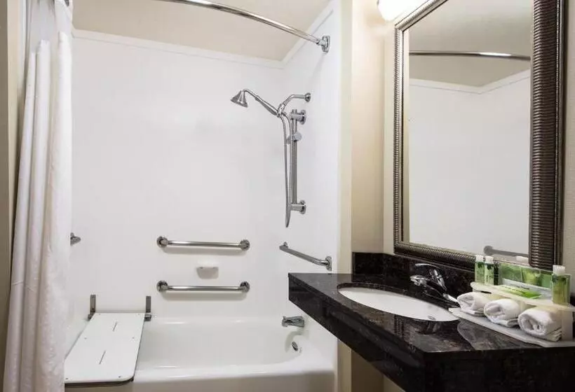 身障者適用スイートルーム, Holiday Inn Express Hotel & Suites Clute Lake Jackson, An Ihg