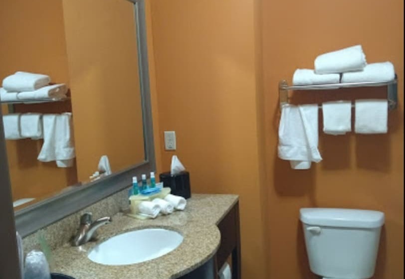 Номер Стандарт, Holiday Inn Express Hotel & Suites Corpus Christi Portland By Ihg