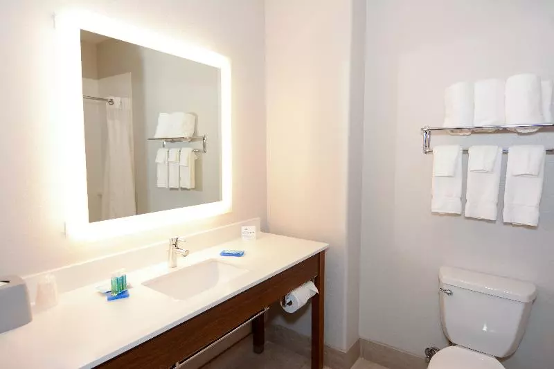 スタンダードルーム, Holiday Inn Express Hotel & Suites New Boston, An Ihg