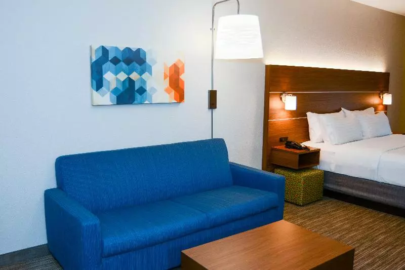 キングサイズベッドのスイートルーム, Holiday Inn Express Hotel & Suites New Boston, An Ihg