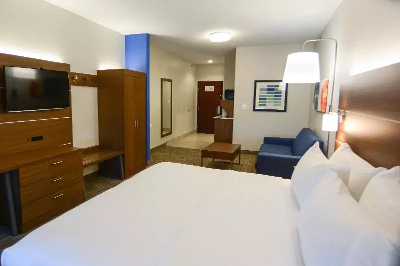 キングサイズベッドのスイートルーム, Holiday Inn Express Hotel & Suites New Boston, An Ihg
