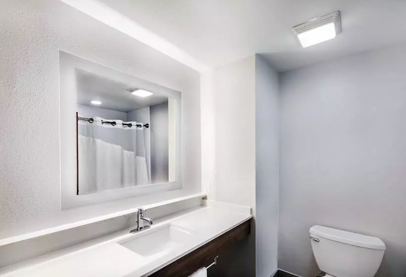 スイート, Holiday Inn Express Hotel & Suites Vidor South By Ihg