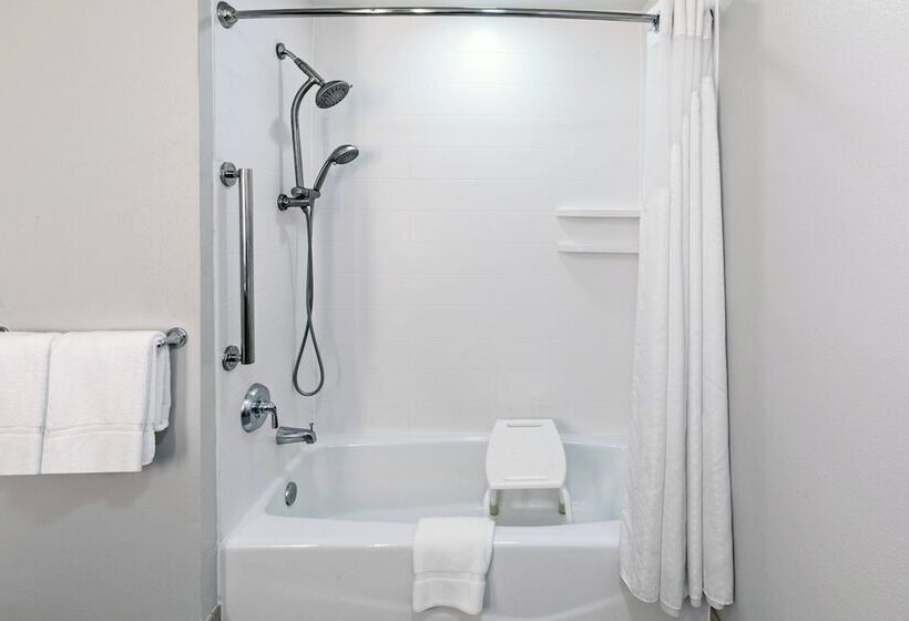 장애인을 위한 스위트, Holiday Inn Express Hotel & Suites Vidor South By Ihg