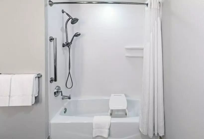 身障者適用スイートルーム, Holiday Inn Express Hotel & Suites Vidor South By Ihg
