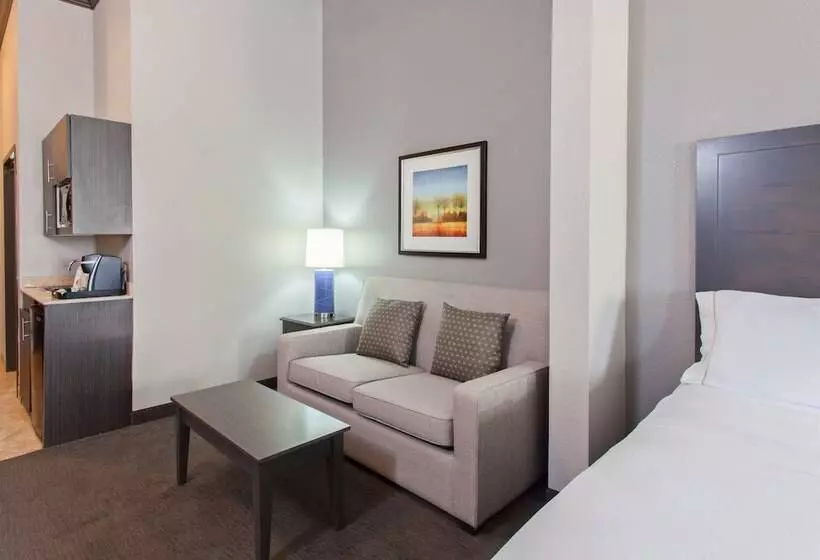 スイート, Holiday Inn Express & Suites Wharton, An Ihg