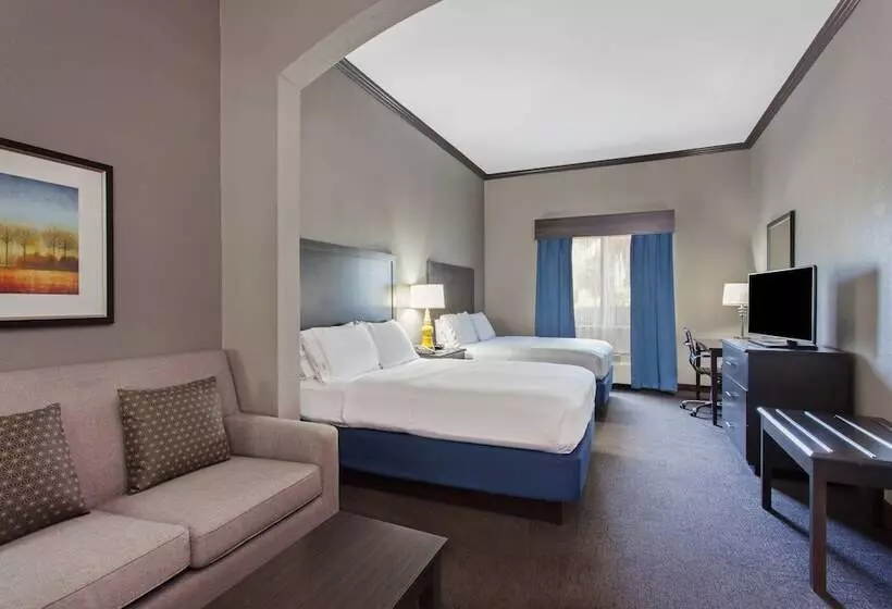 スイート, Holiday Inn Express & Suites Wharton, An Ihg