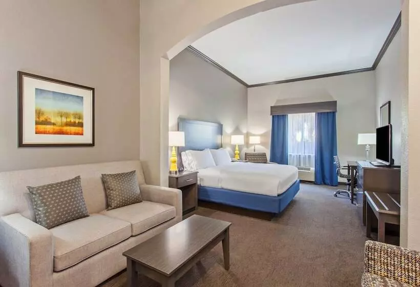 スイート, Holiday Inn Express & Suites Wharton, An Ihg