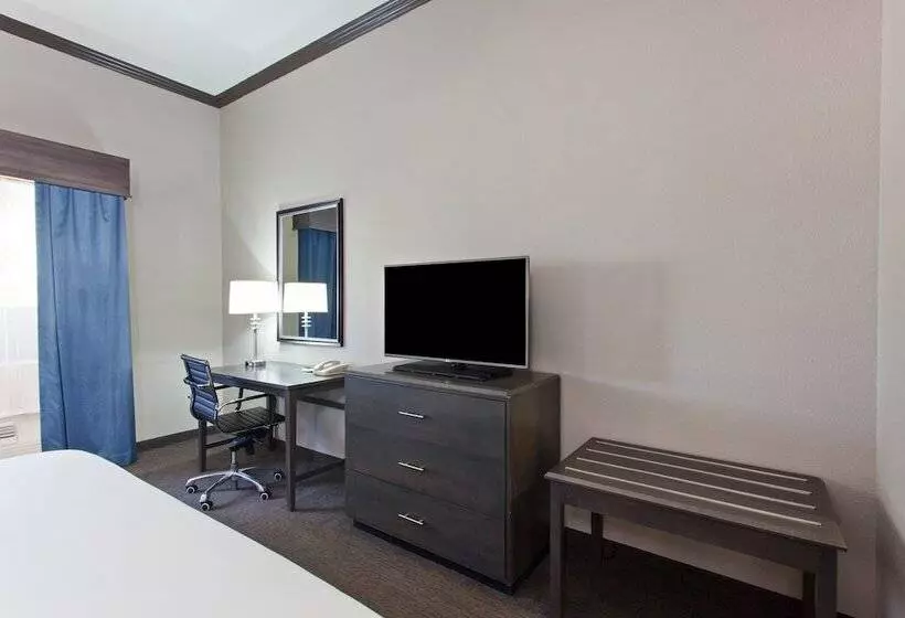 スイート, Holiday Inn Express & Suites Wharton, An Ihg