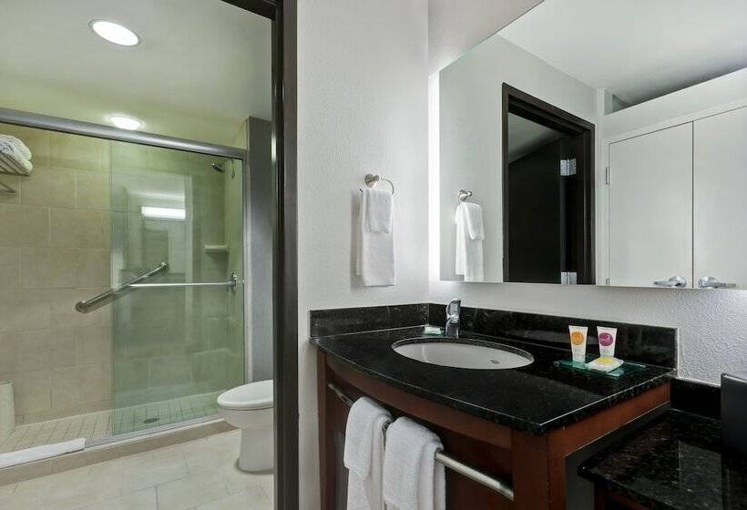 Номер Стандарт, Hyatt Place San Antonio North Stone Oak