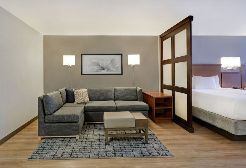 Номер Стандарт, Hyatt Place San Antonio North Stone Oak