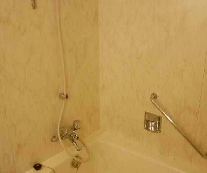 スタンダードルーム, Navios Yokohama