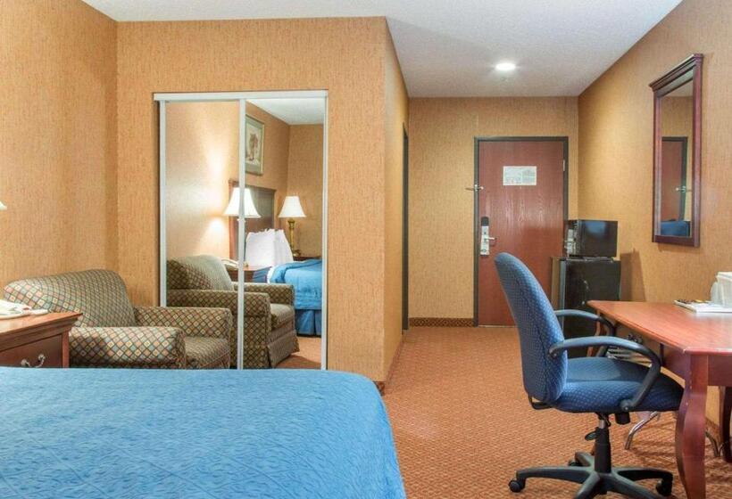 キングサイズベッドのスタンダードルーム, Quality Inn & Suites