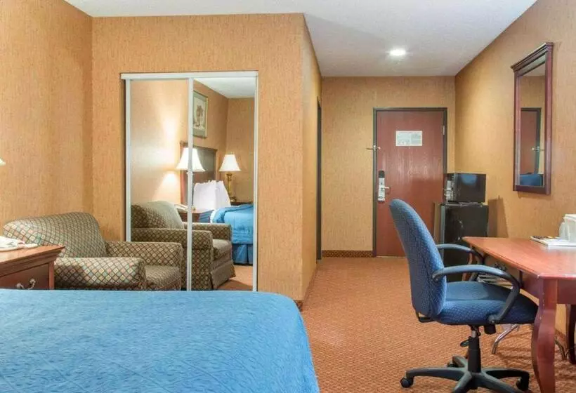 キングサイズベッドのスタンダードルーム, Quality Inn & Suites