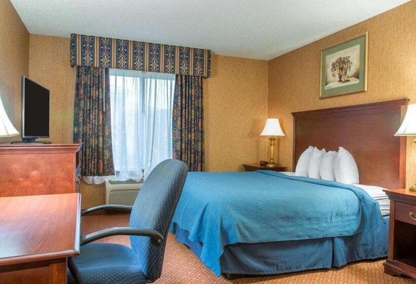 غرفة قياسية سرير كينج, Quality Inn & Suites