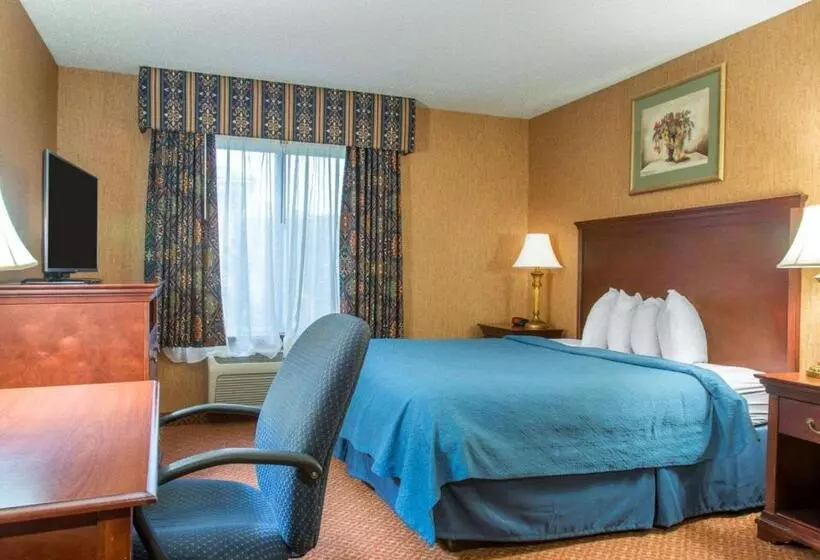 キングサイズベッドのスタンダードルーム, Quality Inn & Suites
