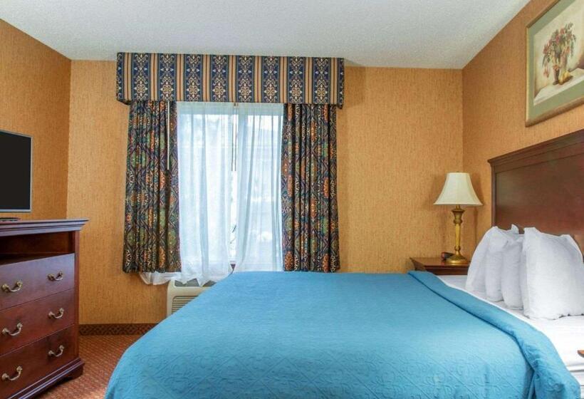 Стандартный Номер Кровать Кинг, Quality Inn & Suites