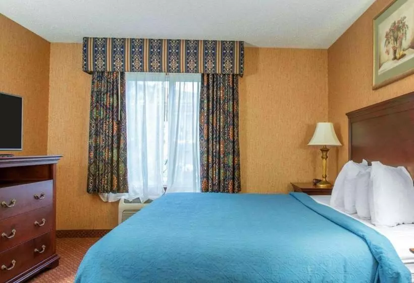 キングサイズベッドのスタンダードルーム, Quality Inn & Suites