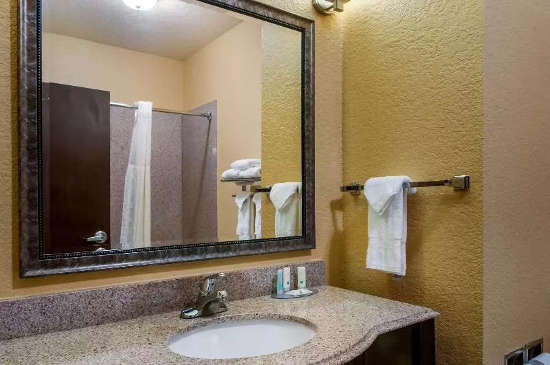 Sviitti King-vuode, Quality Inn & Suites Slidell