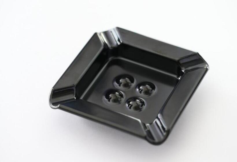 غرفة قياسية فردية, Apa Hotel Stay Toyama