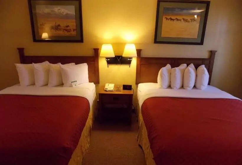 Standard-huone, Best Western Executive Inn