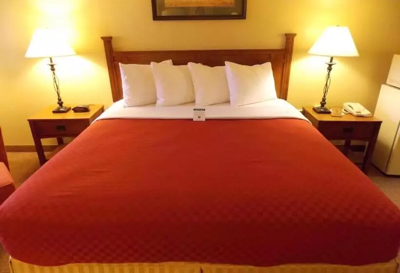 Standard-huone King-vuode, Best Western Executive Inn