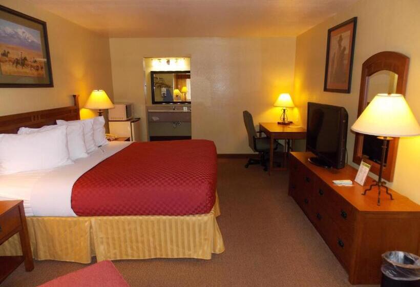 带大床的标准间, Best Western Executive Inn