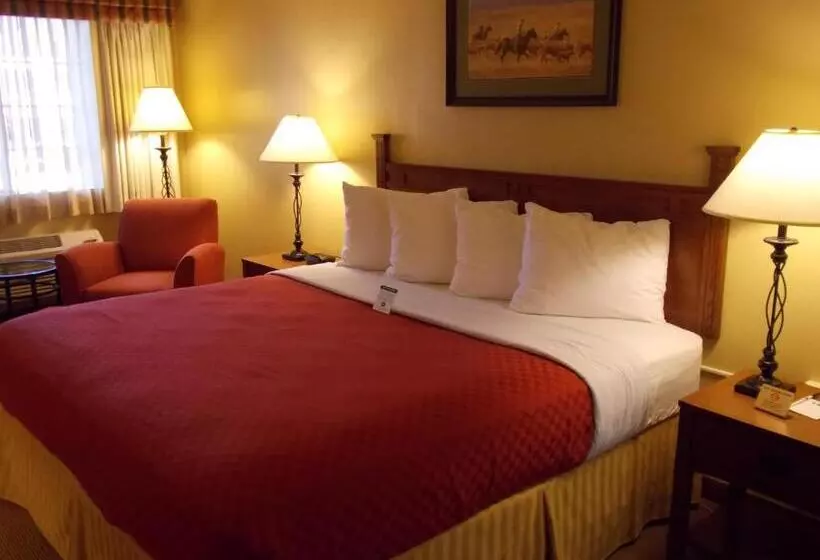 Standard-huone King-vuode, Best Western Executive Inn