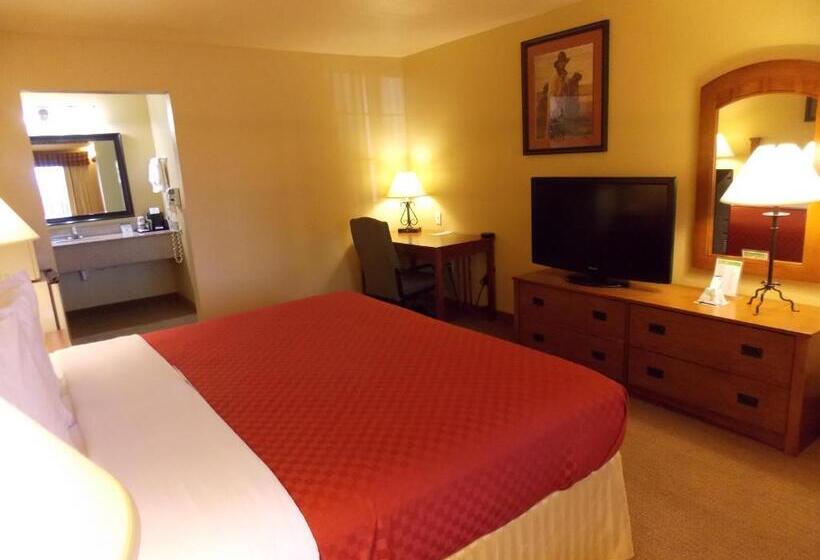 带大床的标准间, Best Western Executive Inn