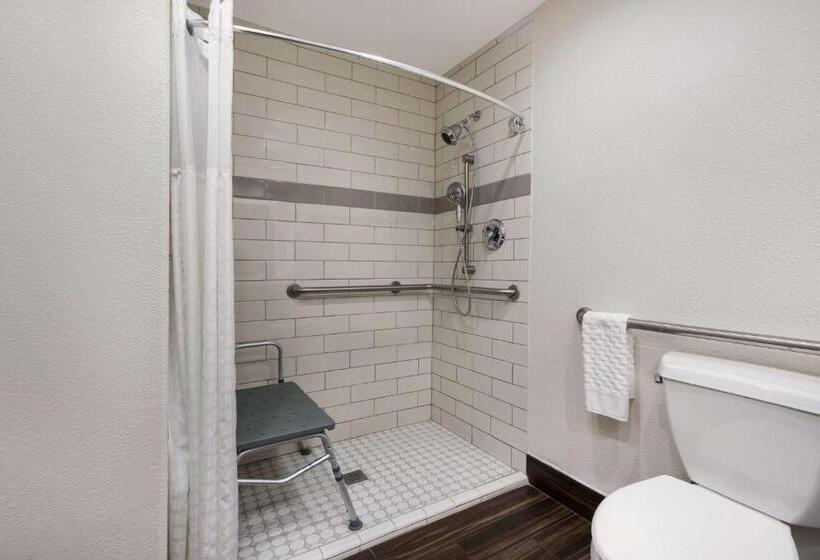 غرفة قياسية سرير كينج, Best Western Houma Inn