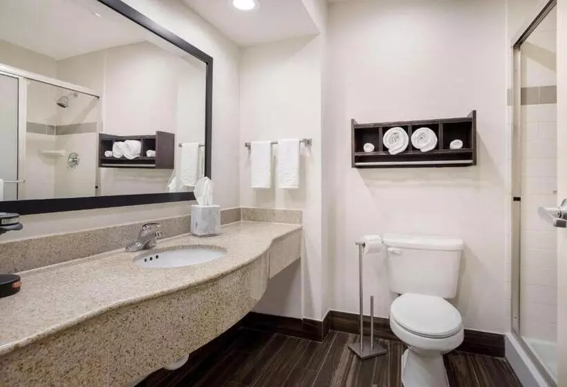 キングサイズベッドのスイートルーム, Best Western Houma Inn