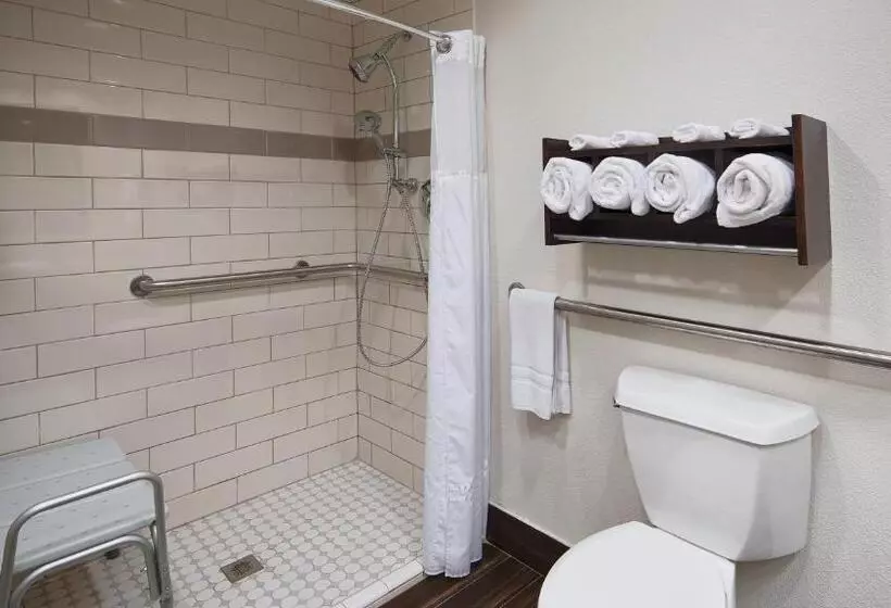 身障者適用スタンダードルーム, Best Western Houma Inn