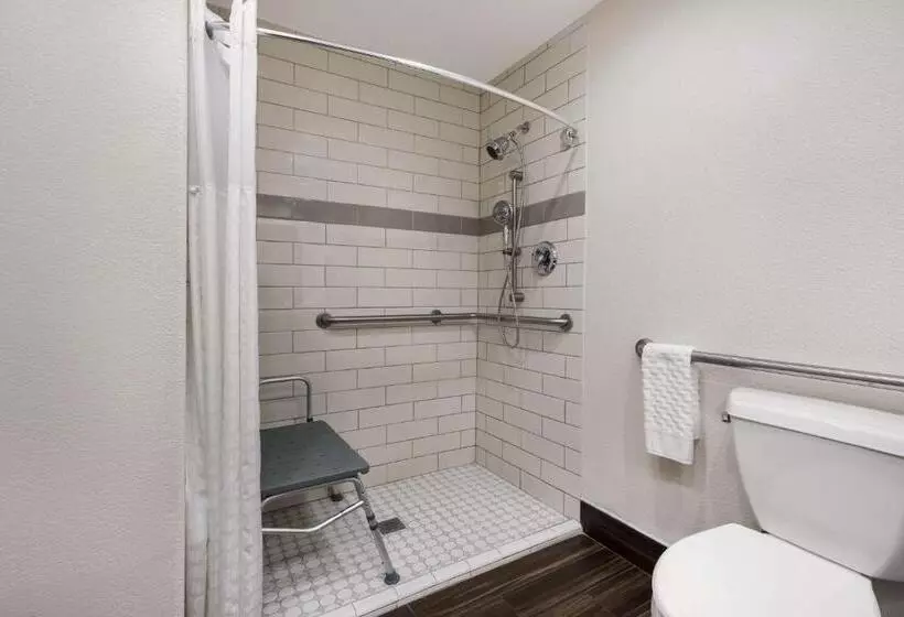 身障者適用スタンダードルーム, Best Western Houma Inn