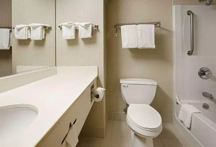 身障者適用キングサイズベッドルーム, Best Western Inn At Blakeslee Pocono