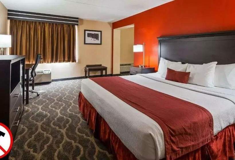 身障者適用キングサイズベッドルーム, Best Western Inn At Blakeslee Pocono