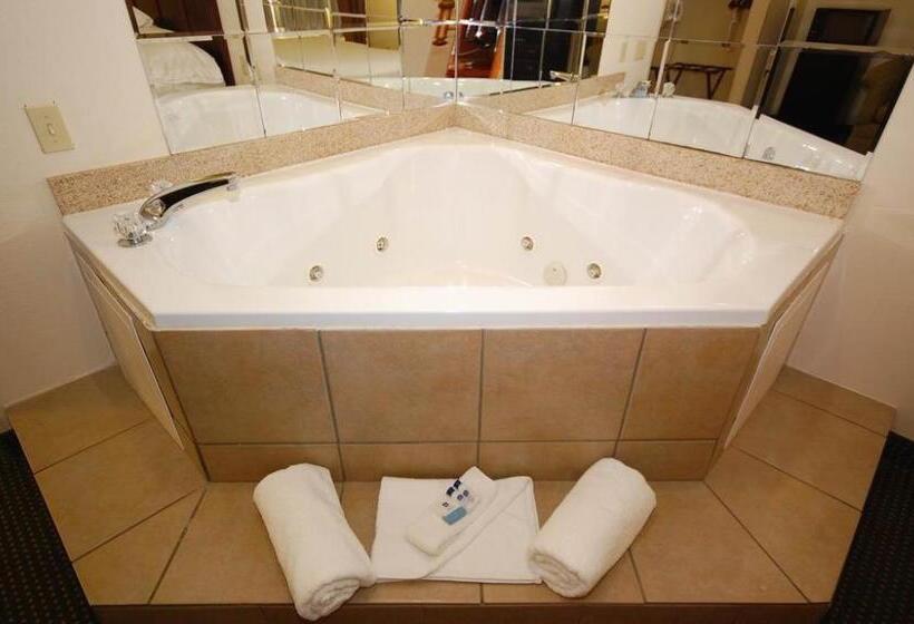 带大床的标准间, Best Western Jacksonville Inn