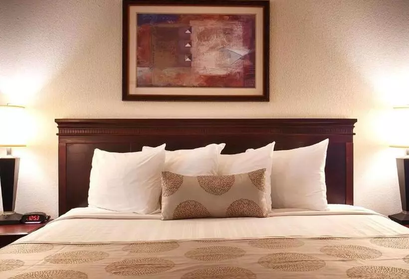 キングサイズベッドのスタンダードルーム, Best Western Jacksonville Inn