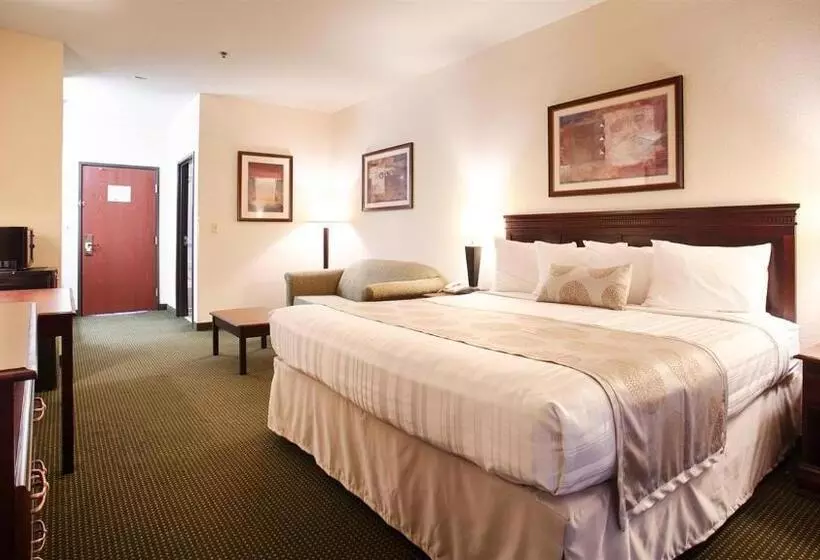 身障者適用キングサイズベッドルーム, Best Western Jacksonville Inn