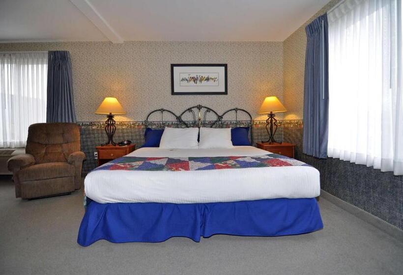 جناح سرير كينج, Best Western Bronco Inn