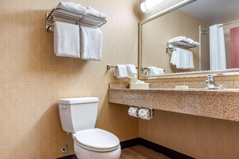 带大床的套房, Best Western Plus Victor Inn & Suites