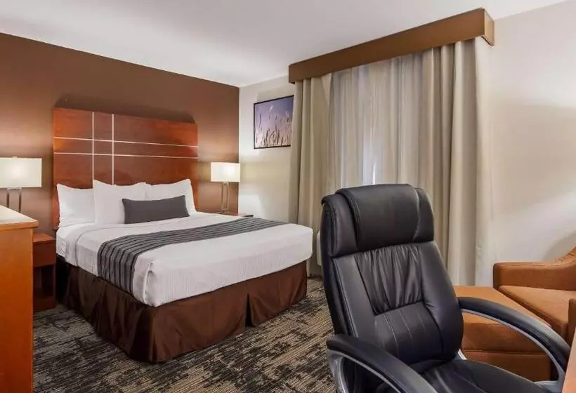Standard-huone King-vuode, Best Western Plus Wakeeney Inn & Suites