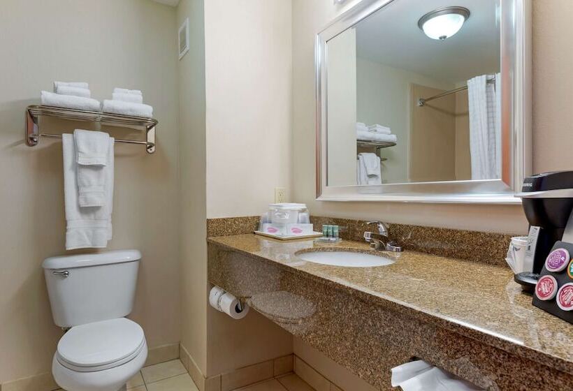 جناح مزود بجاكوزى, Best Western Seminole Inn And Suites