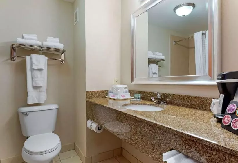 ハイドロマッサージバス付きスイート, Best Western Seminole Inn And Suites