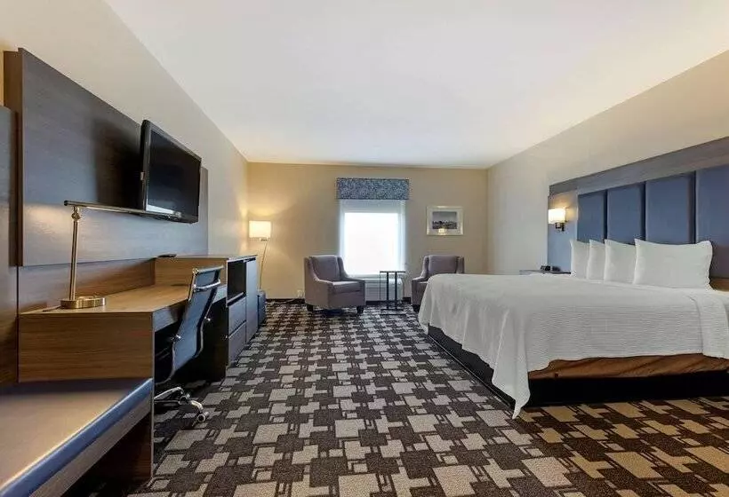 ハイドロマッサージバス付きスイート, Best Western Seminole Inn And Suites