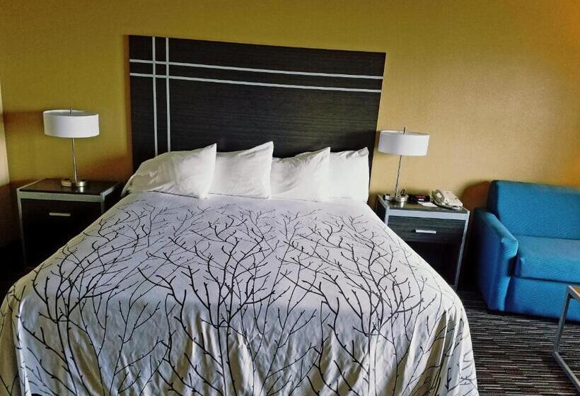 חדר סטנדרט עם מיטת קינג, Best Western Topaz Lake Inn