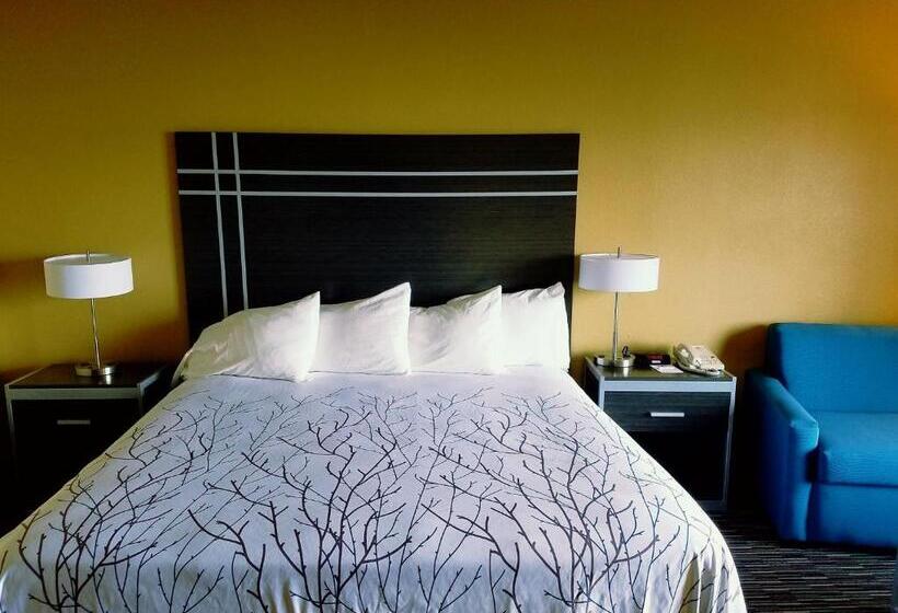 חדר סטנדרט עם מיטת קינג, Best Western Topaz Lake Inn