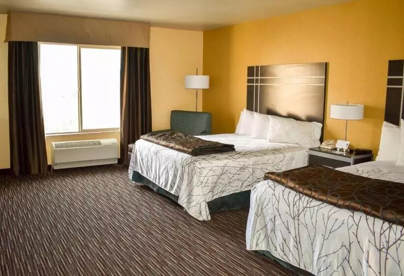 Standard-huone, Best Western Topaz Lake Inn