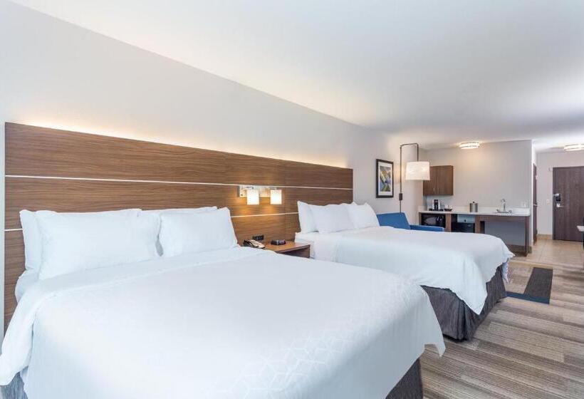 جناح لذوى الاحتياجات الخاصة, Holiday Inn Express Hotel & Suites Eau Claire North, An Ihg