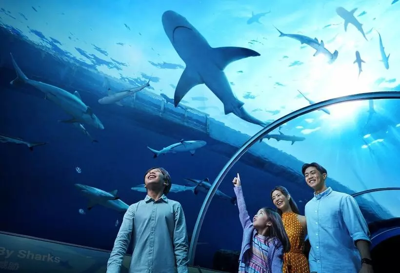 اتاق لوکس, Resorts World Sentosa  Equarius